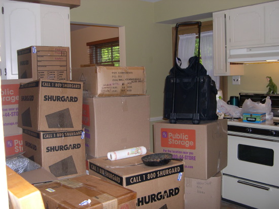 boxes_kitchen_mo_nolan1109.jpg